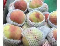 網(wǎng)套機(jī)有哪些水果網(wǎng)套的優(yōu)勢